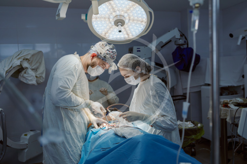 Нейрохирургия