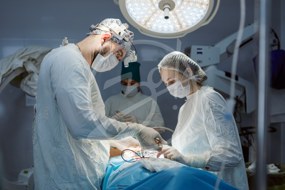 Нейрохирургия