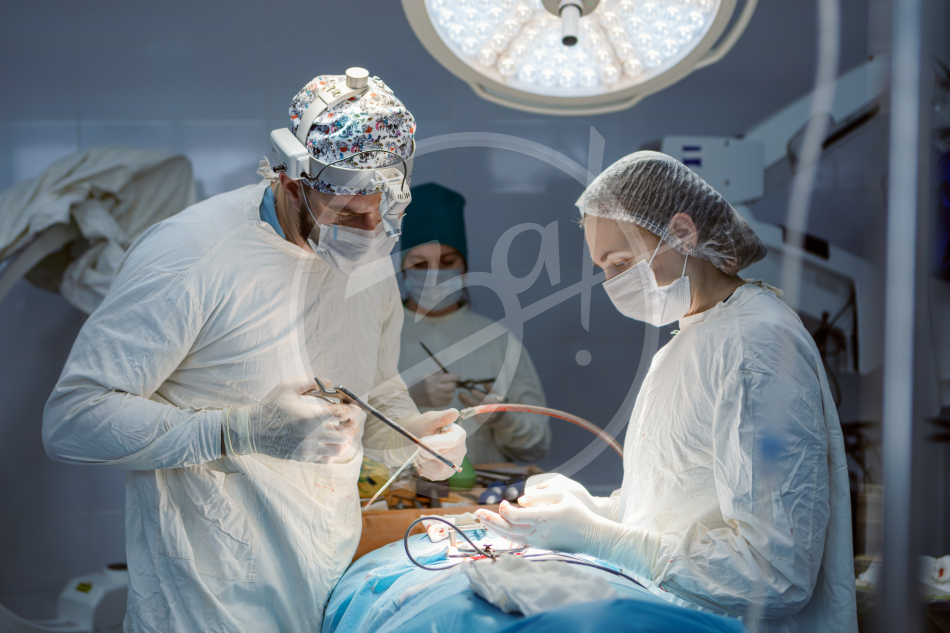 Нейрохирургия