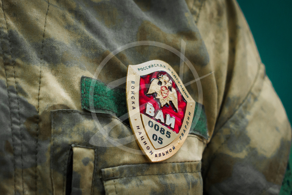 Росгвардия. Безопасность движения