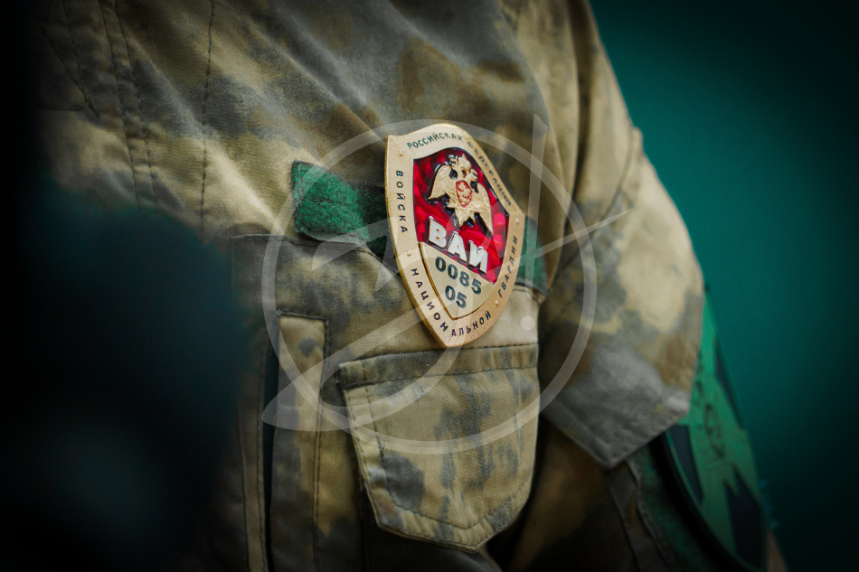 Росгвардия. Безопасность движения