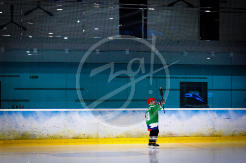 Огонь Олимпиады