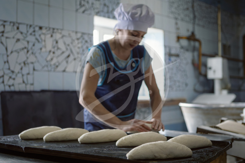 Агропредприятие ООО
«Приморский»