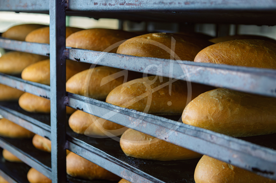 Агропредприятие ООО
«Приморский»