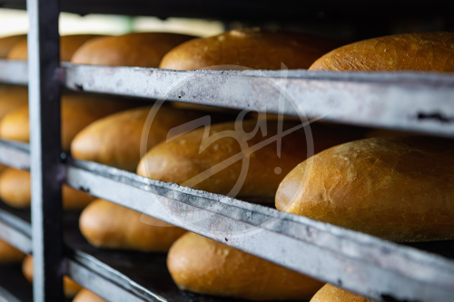 Агропредприятие ООО
«Приморский»