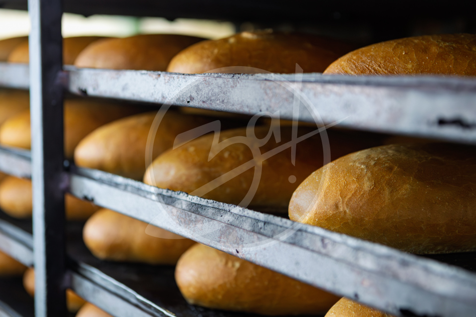 Агропредприятие ООО
«Приморский»