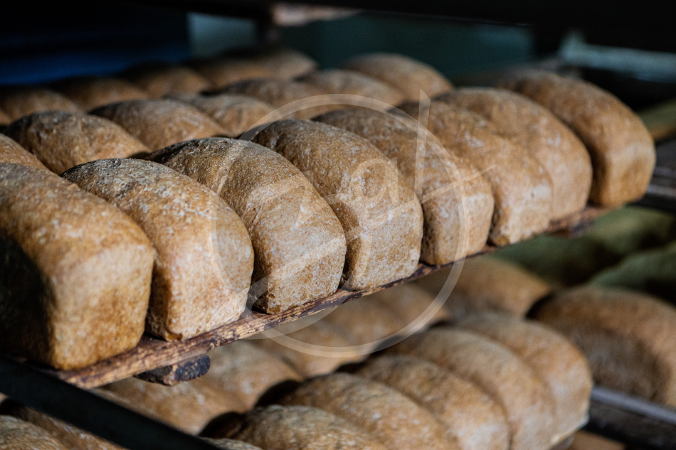 Агропредприятие ООО
«Приморский»