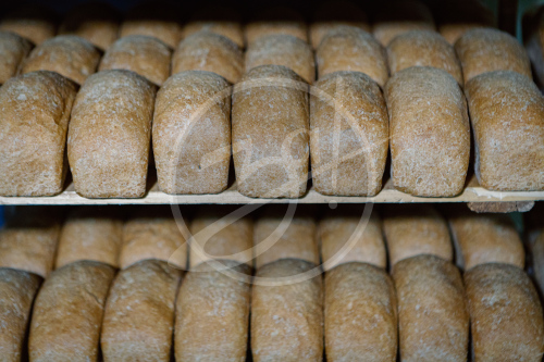 Агропредприятие ООО
«Приморский»