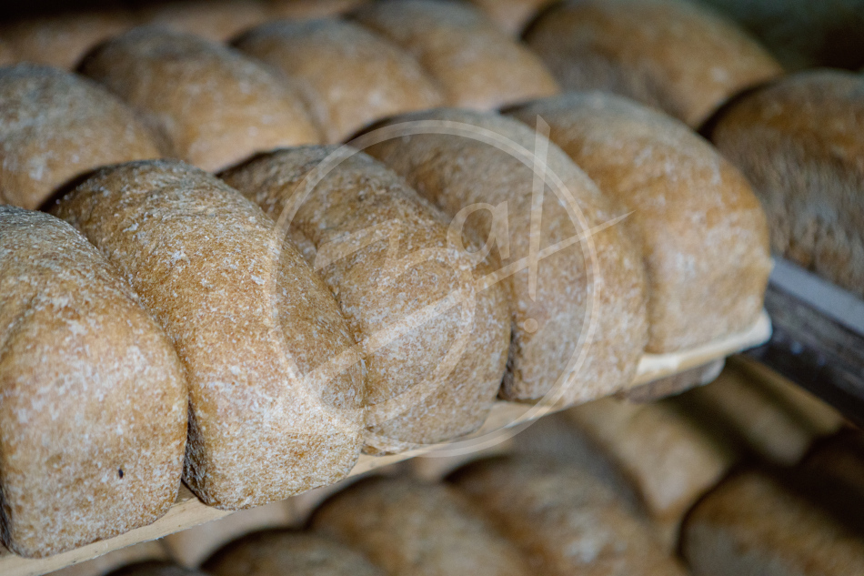 Агропредприятие ООО
«Приморский»