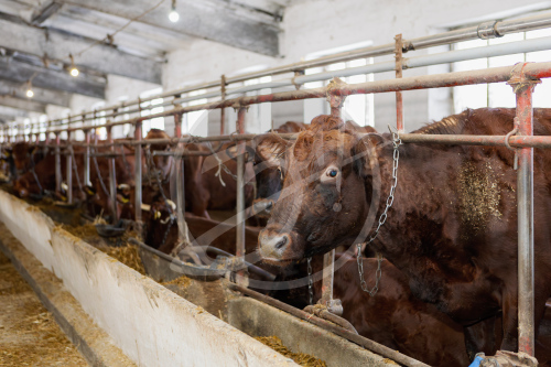 Агропредприятие ООО
«Приморский»