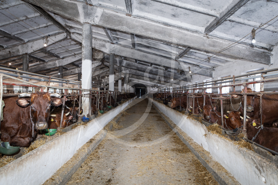 Агропредприятие ООО
«Приморский»