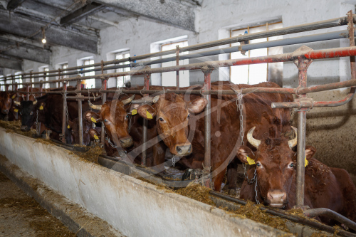 Агропредприятие ООО
«Приморский»