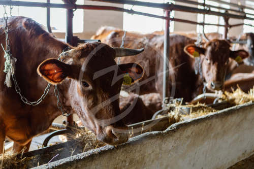 Агропредприятие ООО
«Приморский»