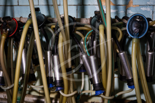 Агропредприятие ООО
«Приморский»