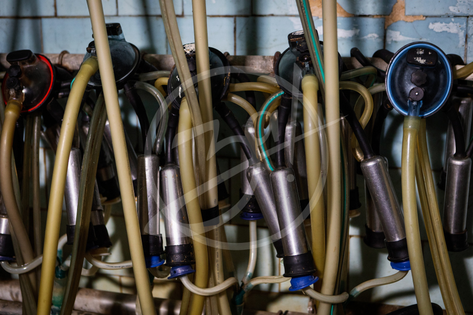 Агропредприятие ООО
«Приморский»