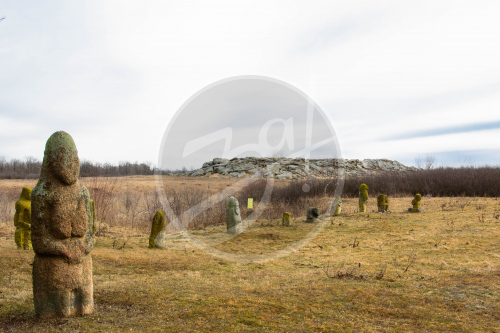 Пейзажи Запорожской области