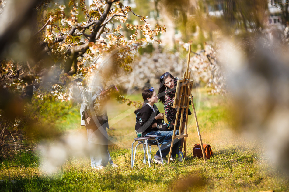 Весенний плэнер