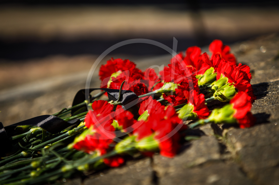 Возложение Народный Фронт