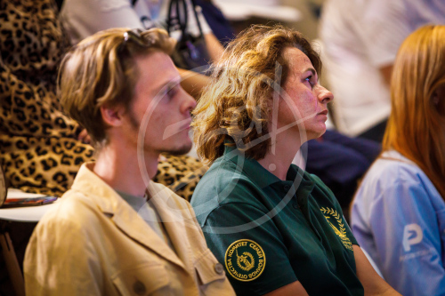 Связующая нить