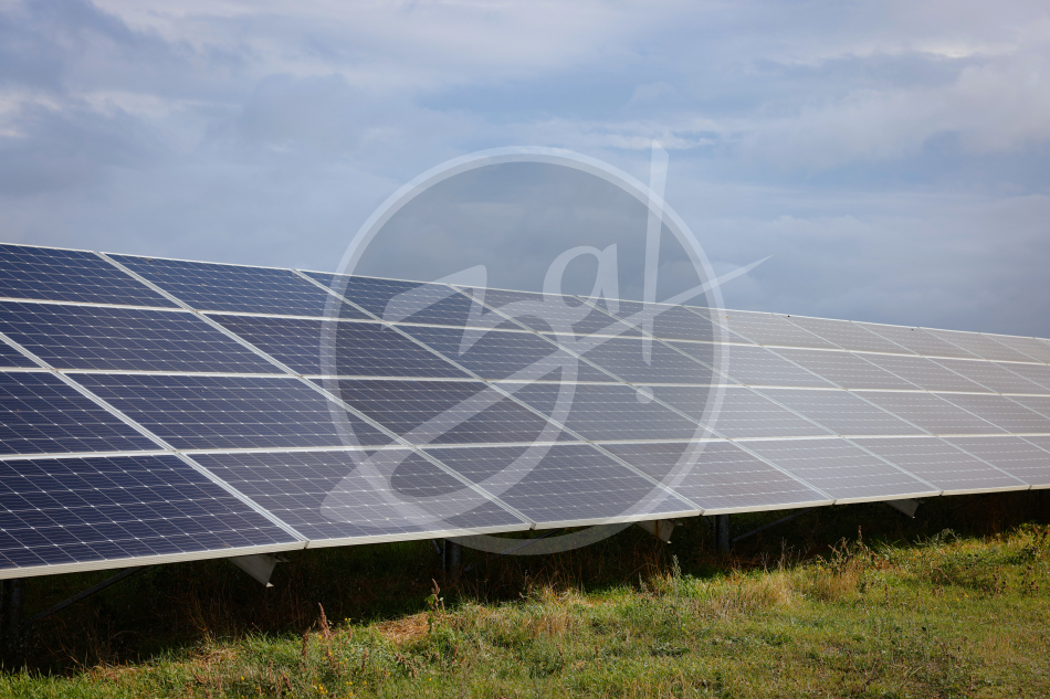 Студенты Запорожской области совершили экскурсию по солнечной электростанции