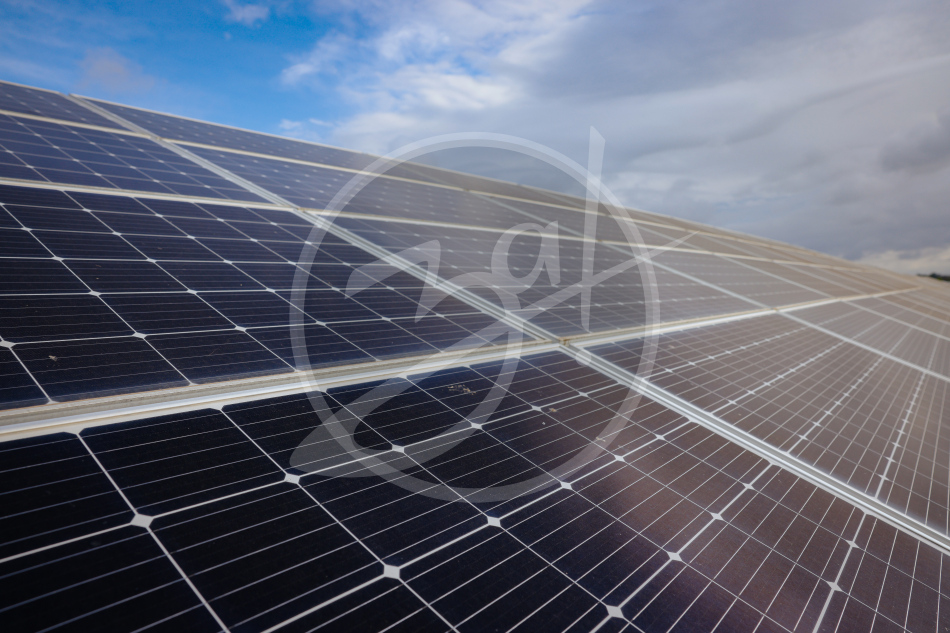 Студенты Запорожской области совершили экскурсию по солнечной электростанции