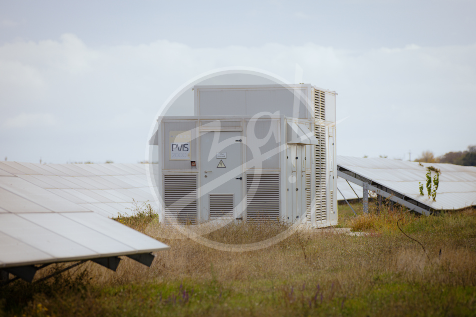 Студенты Запорожской области совершили экскурсию по солнечной электростанции