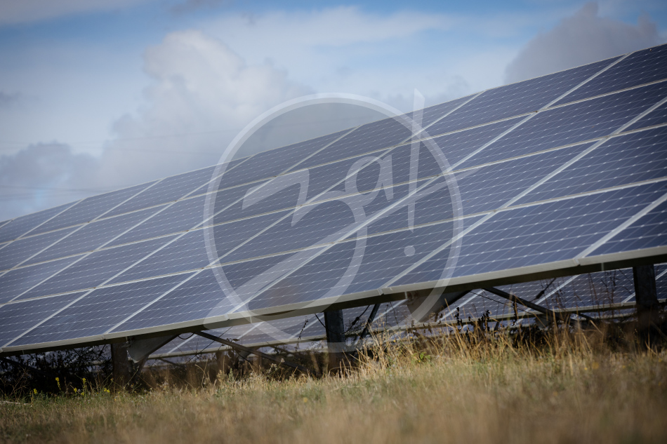 Студенты Запорожской области совершили экскурсию по солнечной электростанции