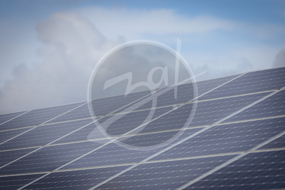 Студенты Запорожской области совершили экскурсию по солнечной электростанции