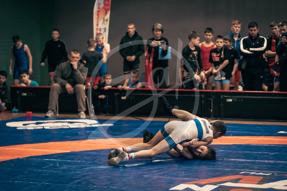 Герои Отечества