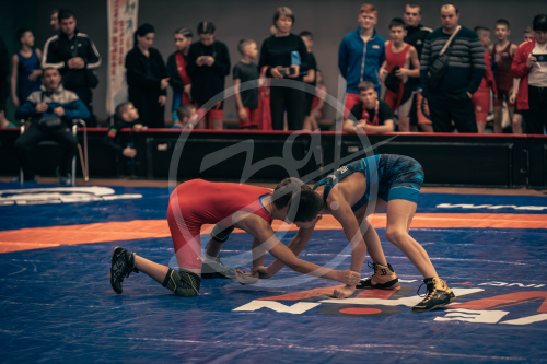 Герои Отечества