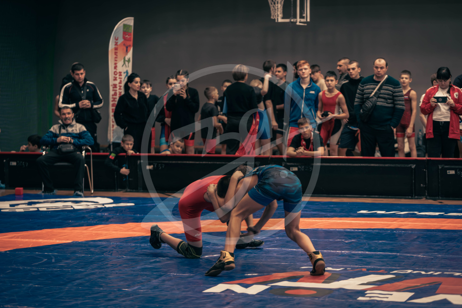 Герои Отечества