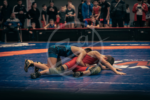 Герои Отечества