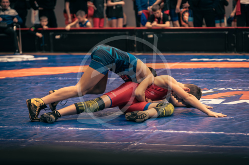 Герои Отечества