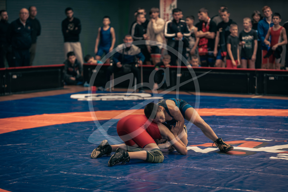 Герои Отечества