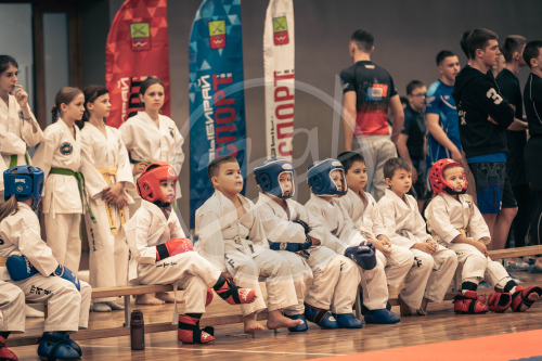 Герои Отечества