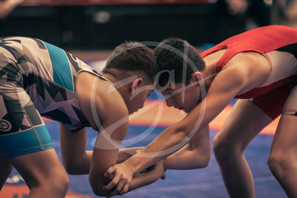 Герои Отечества