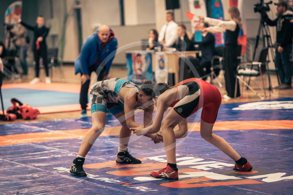 Герои Отечества