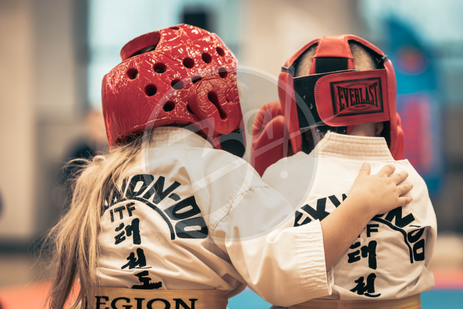 Герои Отечества