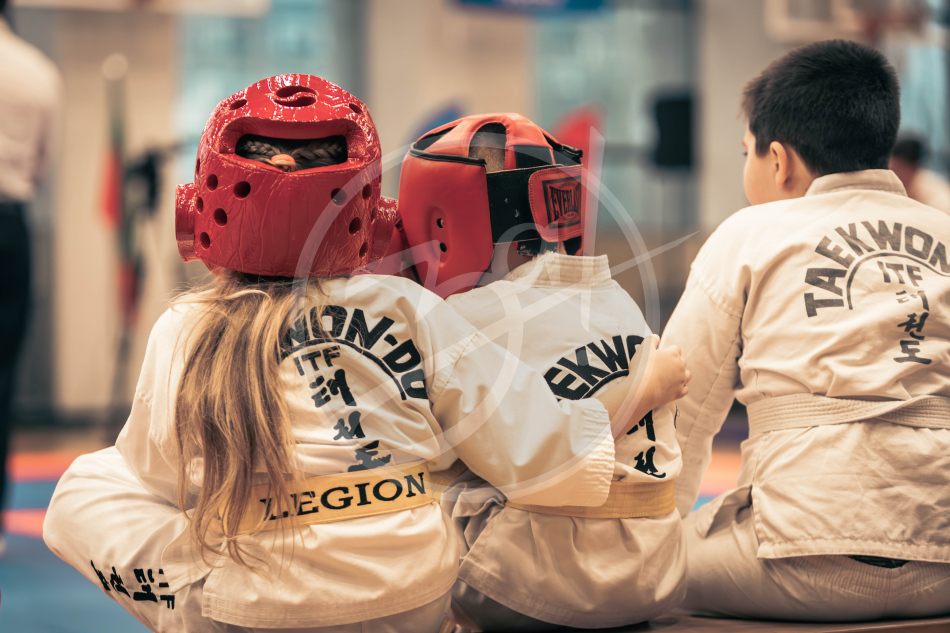 Герои Отечества