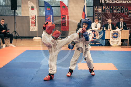 Герои Отечества