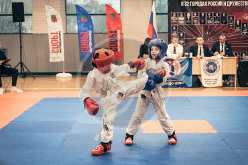 Герои Отечества