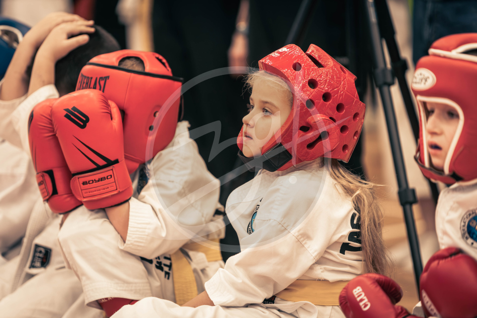 Герои Отечества