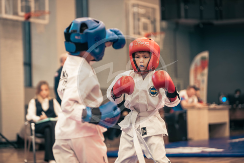 Герои Отечества