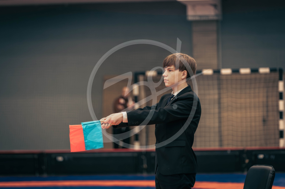 Герои Отечества