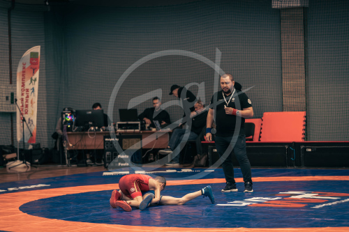 Герои Отечества