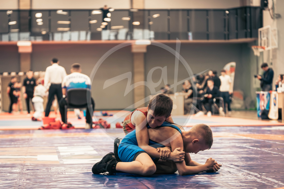 Герои Отечества