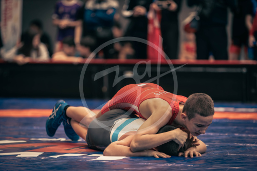 Герои Отечества