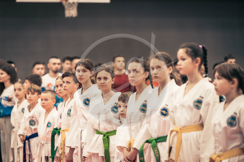 Герои Отечества