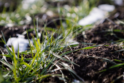 Агропредприятие ООО
«Приморский»