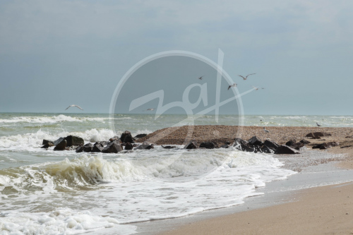 Пейзажи Запорожской области
